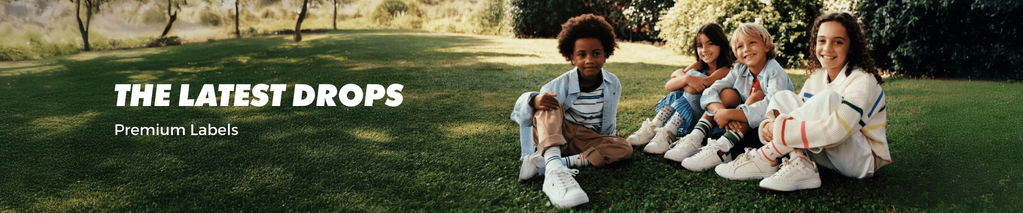 Banner Content