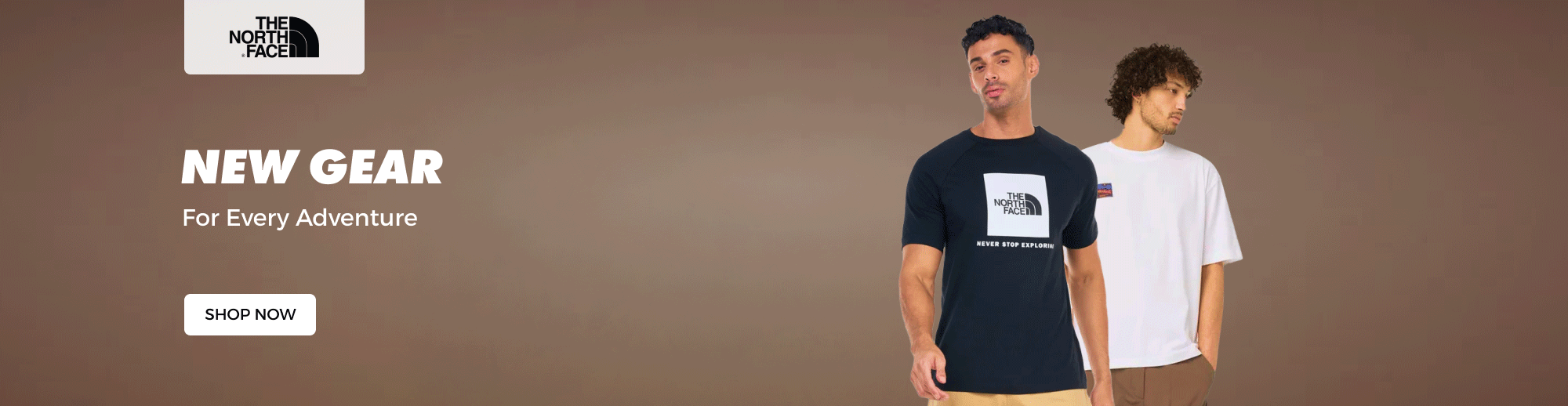 Banner Content