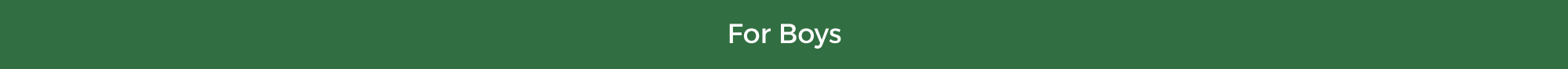 Banner Content