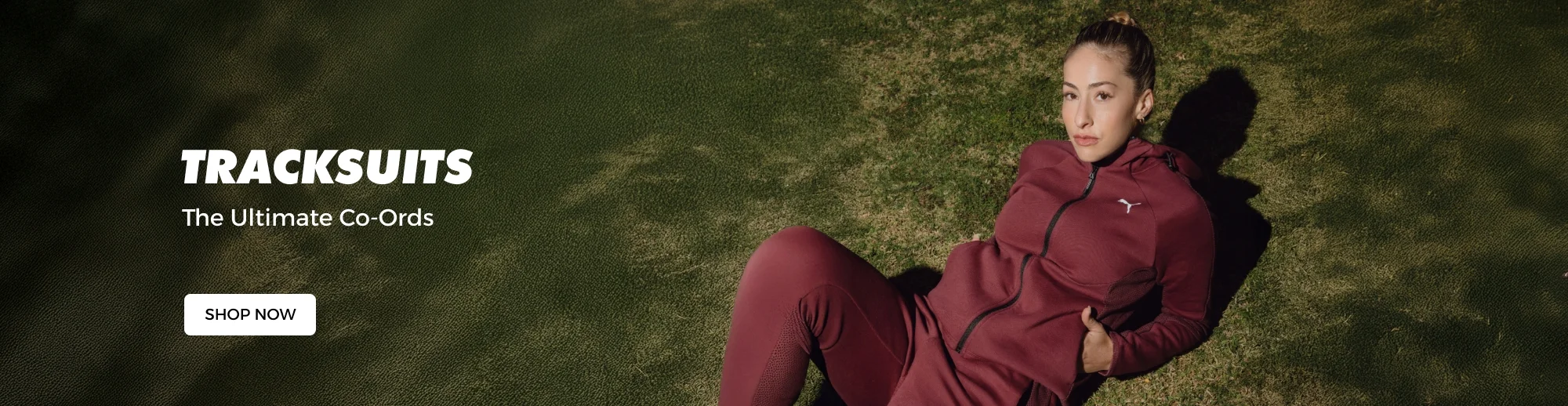 Banner Content