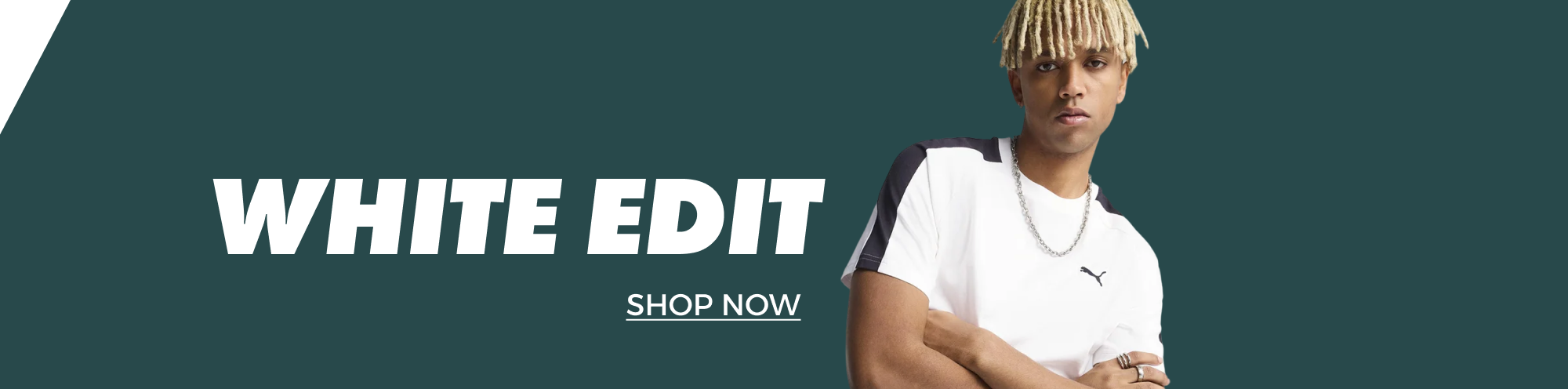 Banner Content
