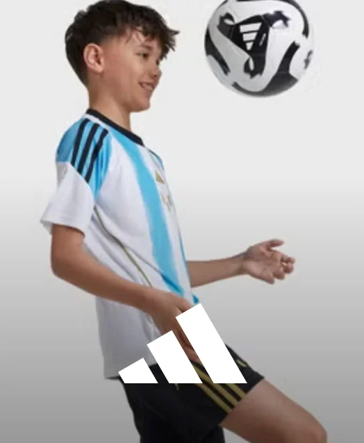 Banner Content