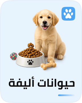 الحيوانات الأليفة