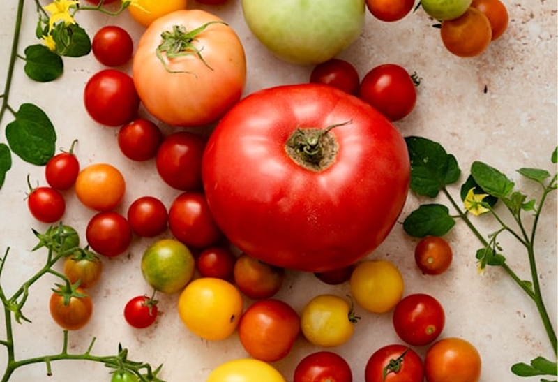 Vegan Grocer by Quality Foods