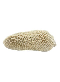 Beef Tripe