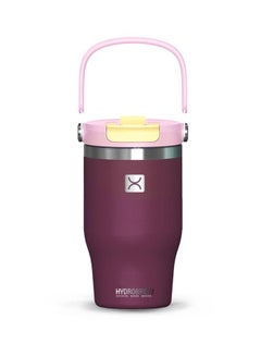 Hydrobrew Vacuum Insulated Tumbler With Handle, Purple