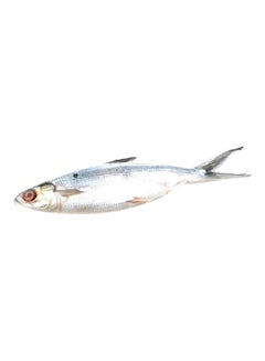 Defrosted Milk Fish