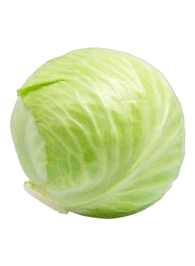 Local Cabbage | NowNow United Arab Emirates English | NowNow