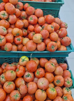 Various Tomato