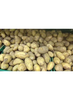 100% Premium Potato, Syria (Aloo)