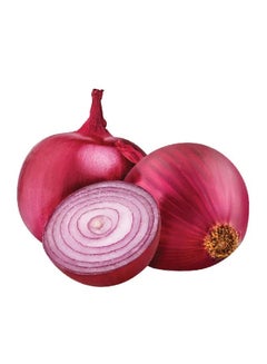 Onion Pink, India (Pyaz)