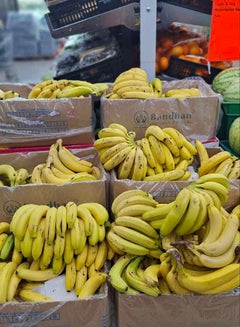 Bioline Banana Premium, Ecuador (Kela)