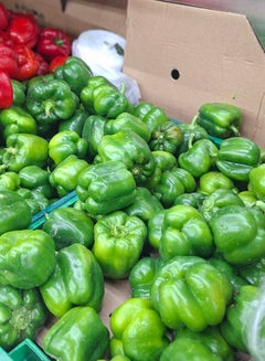 Green Capsicum, Iran (Shimala Mirch)