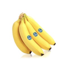 Chiquita Banana, Ecuador
