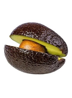 هاس أفوكادو هاس من المكسيك