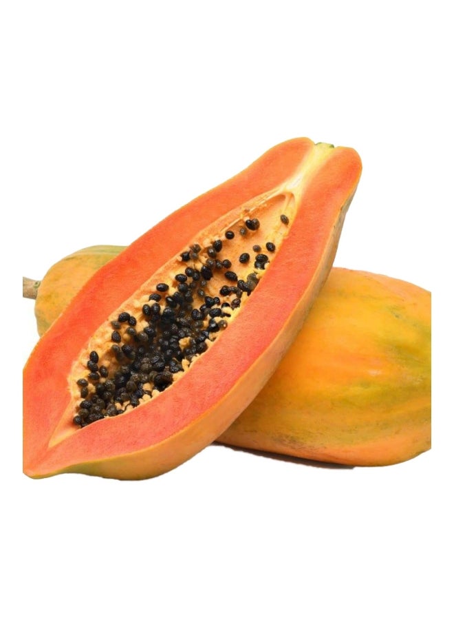Red Papaya, Sri Lanka, (Papita)