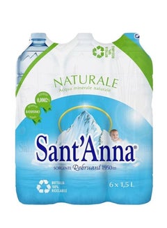 Sant'Anna Natural Mineral Water, Pack Of 6, Italy
