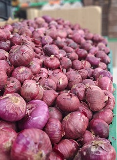 Onion Pink, India (Pyaz)