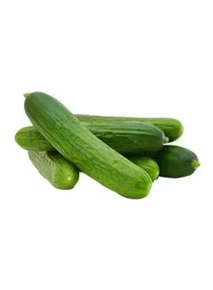Cucumber