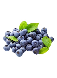 Fine Food Premium Blueberries