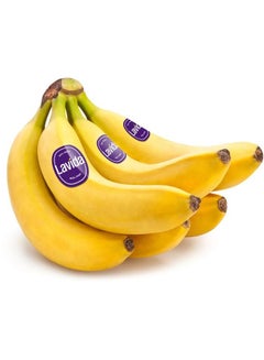 Banana Lavida, Ecuador