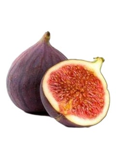 Fresh Figs, GCC