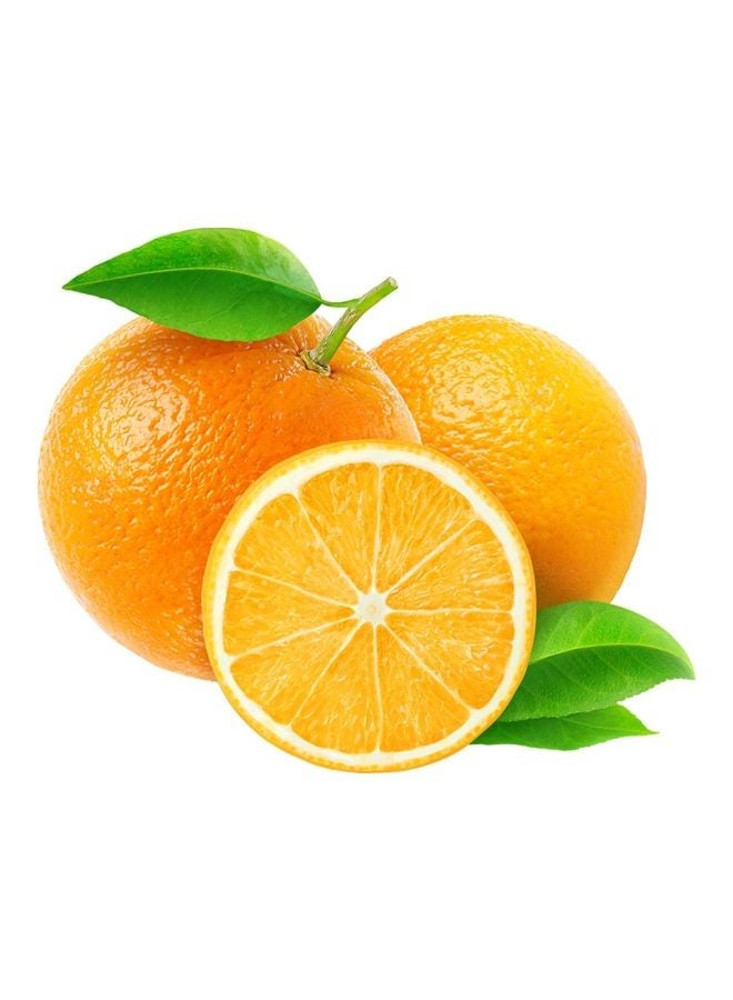 Valencia Orange, Egypt, (Santra)