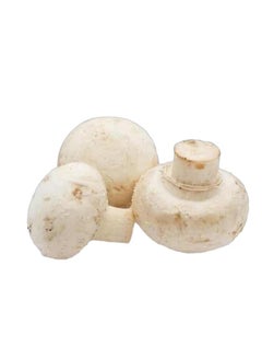 White Button Mushroom, Oman
