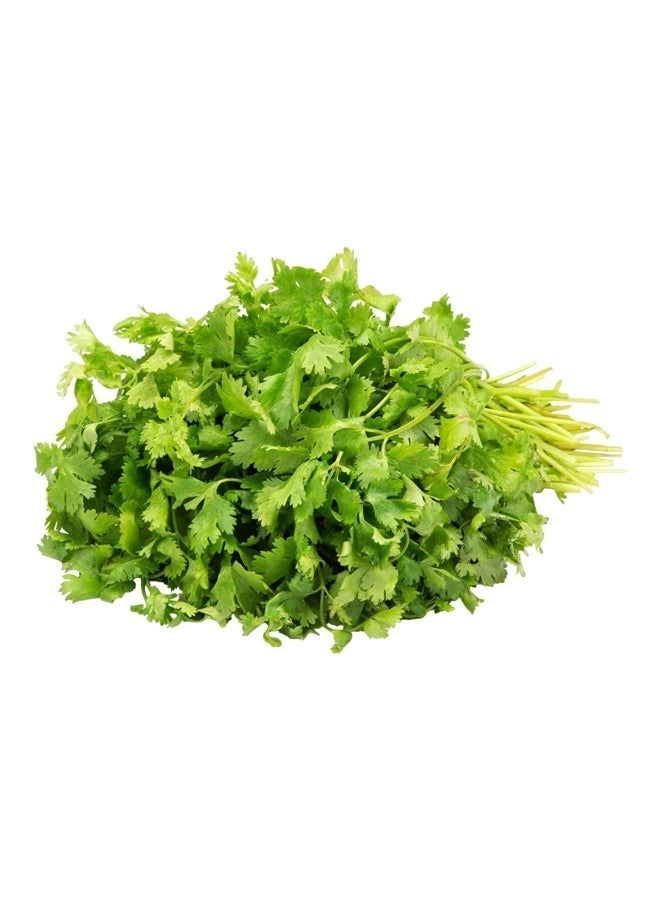 Coriander (Dhaniya Patta)