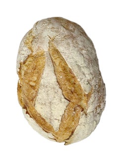 Sourdough Bread
