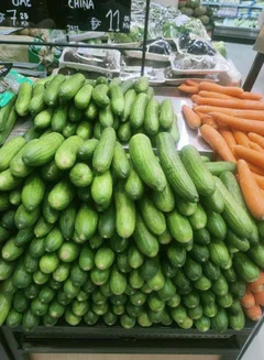 Cucumber, UAE (Kheera)