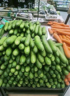 Cucumber, UAE