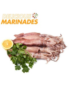 Large Squid Whole