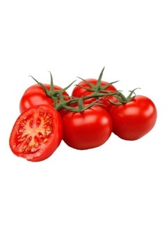 Tomato (Tamatar)
