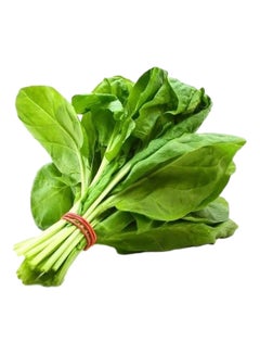 Spinach Leaves