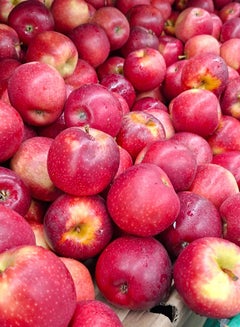 Apple Royal Gala, Italy (Seb)