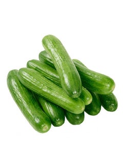 Cucumber Local (Kheera)