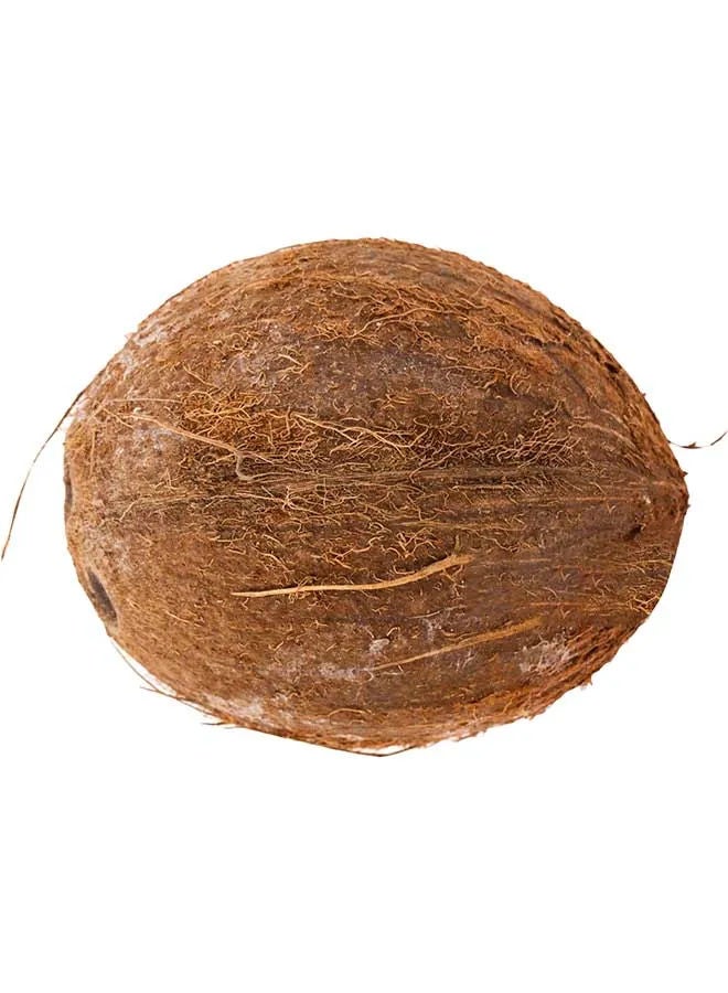 Dry Coconut, India, (Nariyal)
