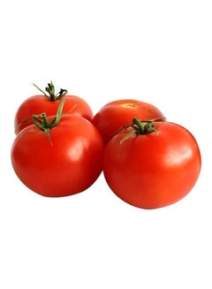 Loose Tomato , UAE