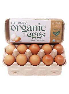 Neco's Brown Eggs, Medium