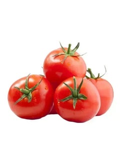 Tomato, Iran