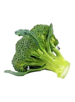 Green Broccoli
