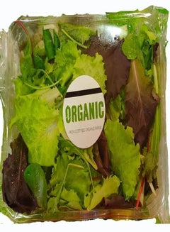Fine Food Organic Mix Orientale Salad