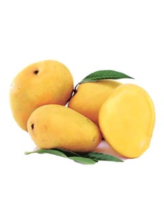 Badami Mango, (Aam)