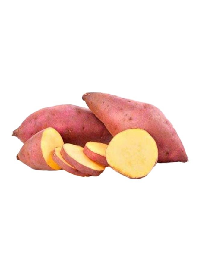 Sweet Potato, Egypt, (Shakarkandi)