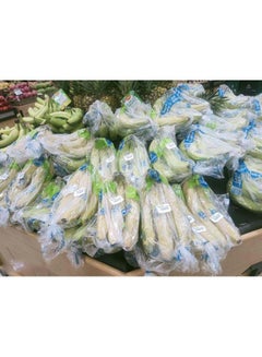 Chiquita Organic Banana
