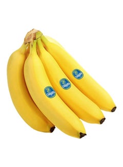 Chiquita Banana