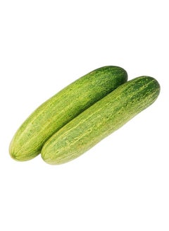 Gcc Loose Cucumber