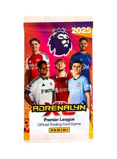 Panini Trading Card