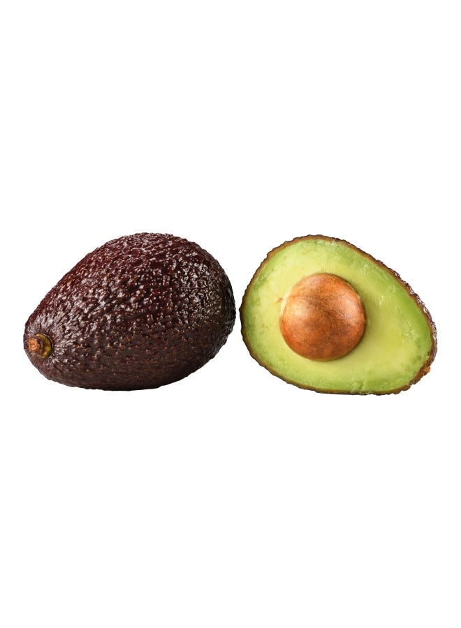Avocado Hass, Kenya